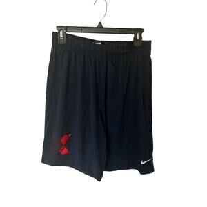 Nike Shorts Men’s Navy Size M